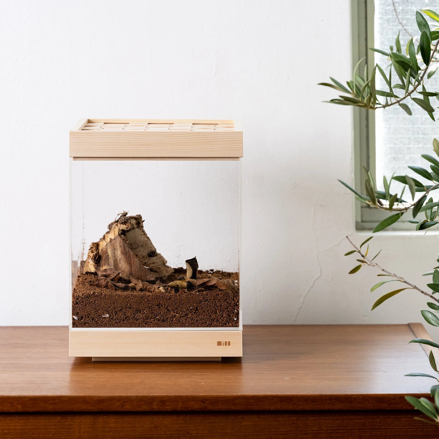 TanakaSotoubaWorks INSECT REARING CASE 20(樅の飼育ケース20)